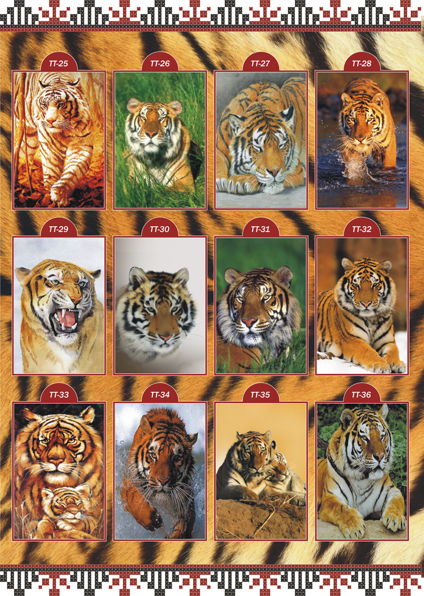 Каталог ескізів Тварини Тигри ТТ 3